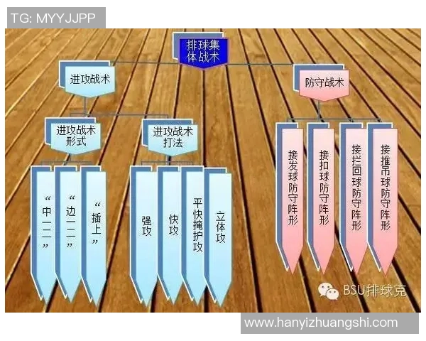 南京排球队防反策略深度解析与战术创新探讨 南京排球队防反策略深度解析与战术创新探讨