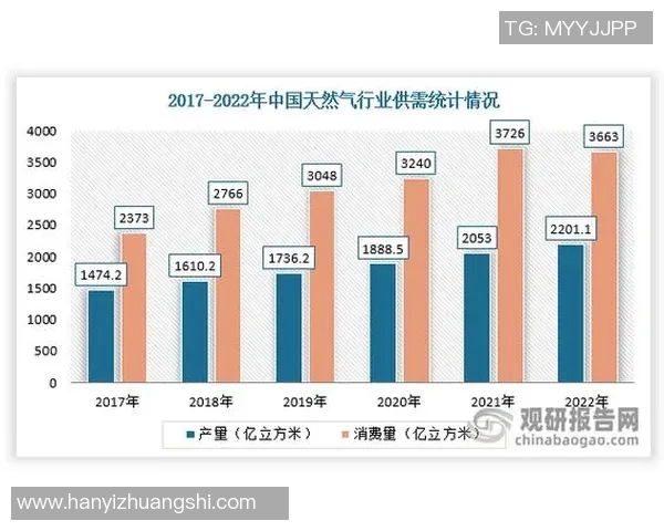 数据分析透视LNG市场的竞争力与未来发展趋势探讨