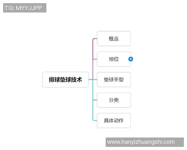 杨丽独家分享排球心得与技巧助你提升球技的全攻略