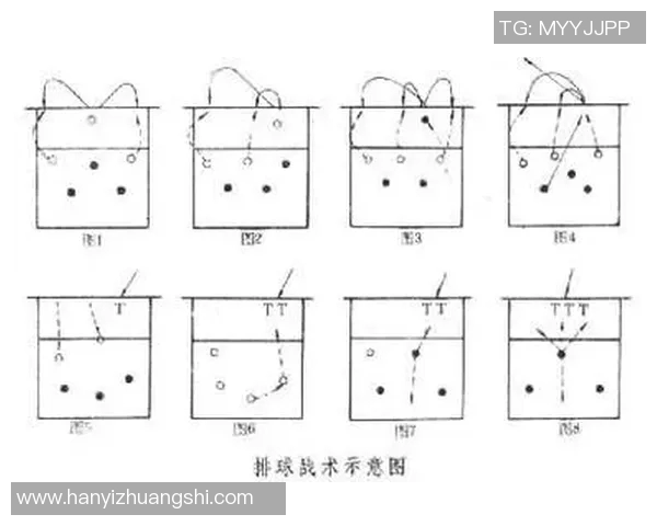 北京排球队进攻战术解析与球队表现的深度剖析