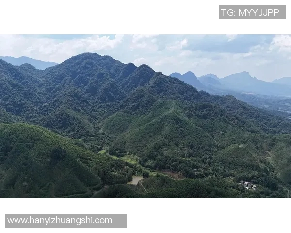 雷法山口与岗山的对决探秘山脉之美与自然奇观的碰撞