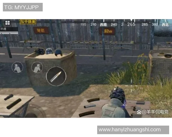 和平精英战术分析：深入探讨IG战队的进攻策略与战斗风格